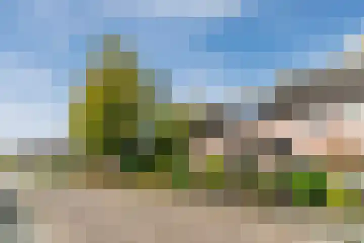 Steenstraat 4 Eersel thumbnail 48