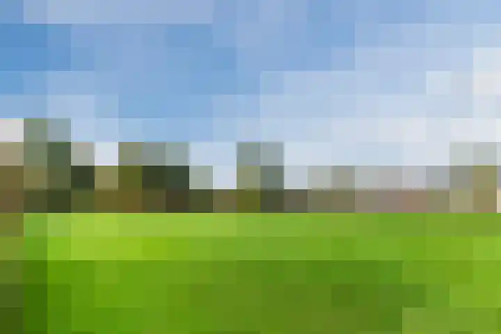 Steenstraat 4 Eersel thumbnail 49