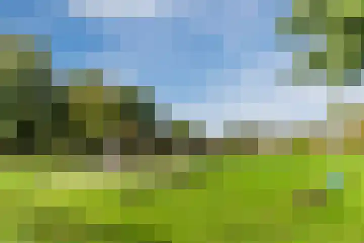 Steenstraat 4 Eersel thumbnail 50
