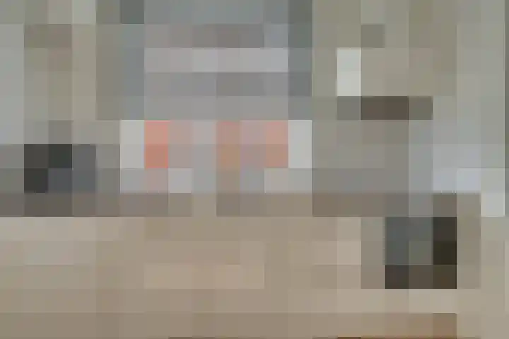 Steenstraat 4 Maasbracht thumbnail 10