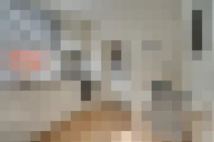 Steenstraat 4 Maasbracht thumbnail 11