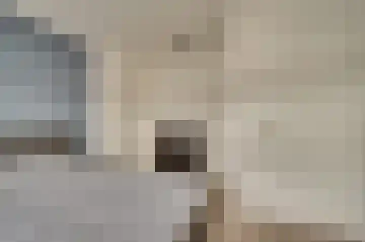 Steenstraat 4 Maasbracht thumbnail 22