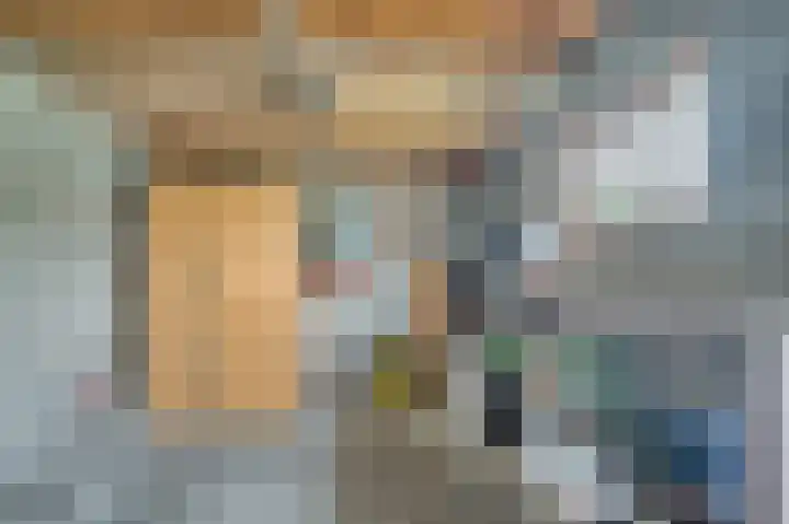 Steenstraat 4 Maasbracht thumbnail 38