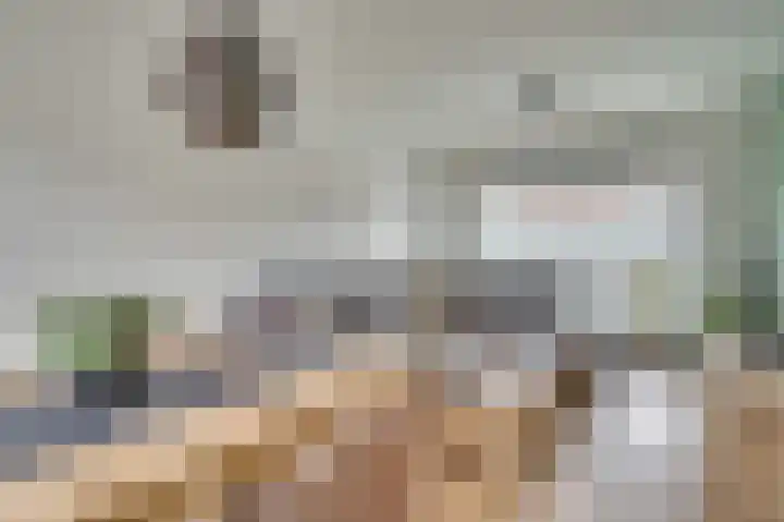Steenstraat 4 Maasbracht thumbnail 5