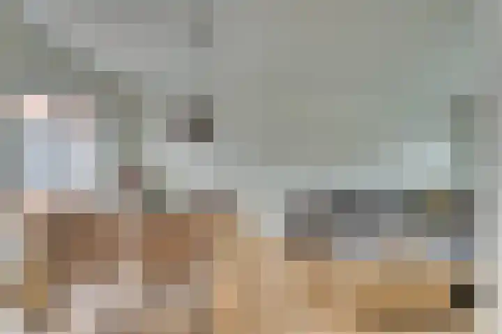 Steenstraat 4 Maasbracht thumbnail 7