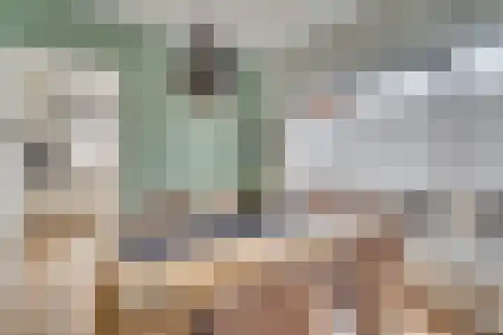 Steenstraat 4 Maasbracht thumbnail 8
