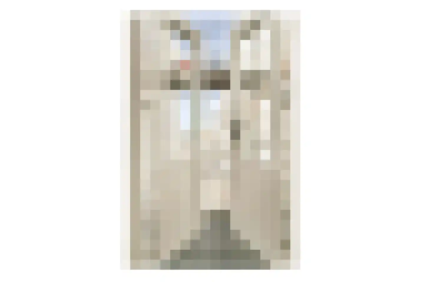 Steenstraat 43 Leiden thumbnail 21
