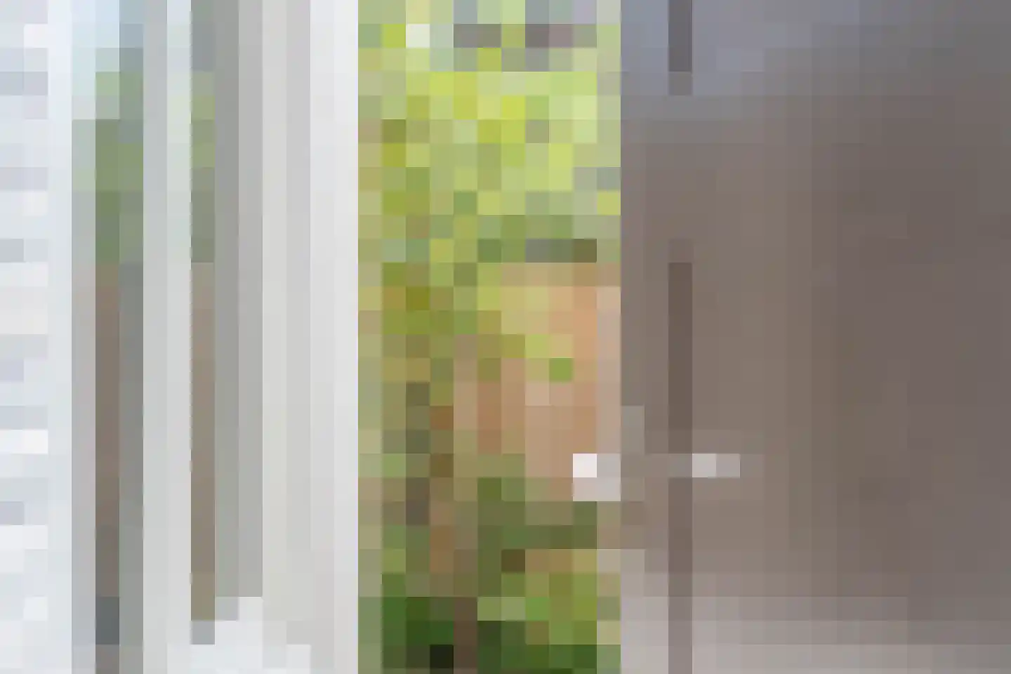 Steenstraat 46 a Boxmeer thumbnail 41