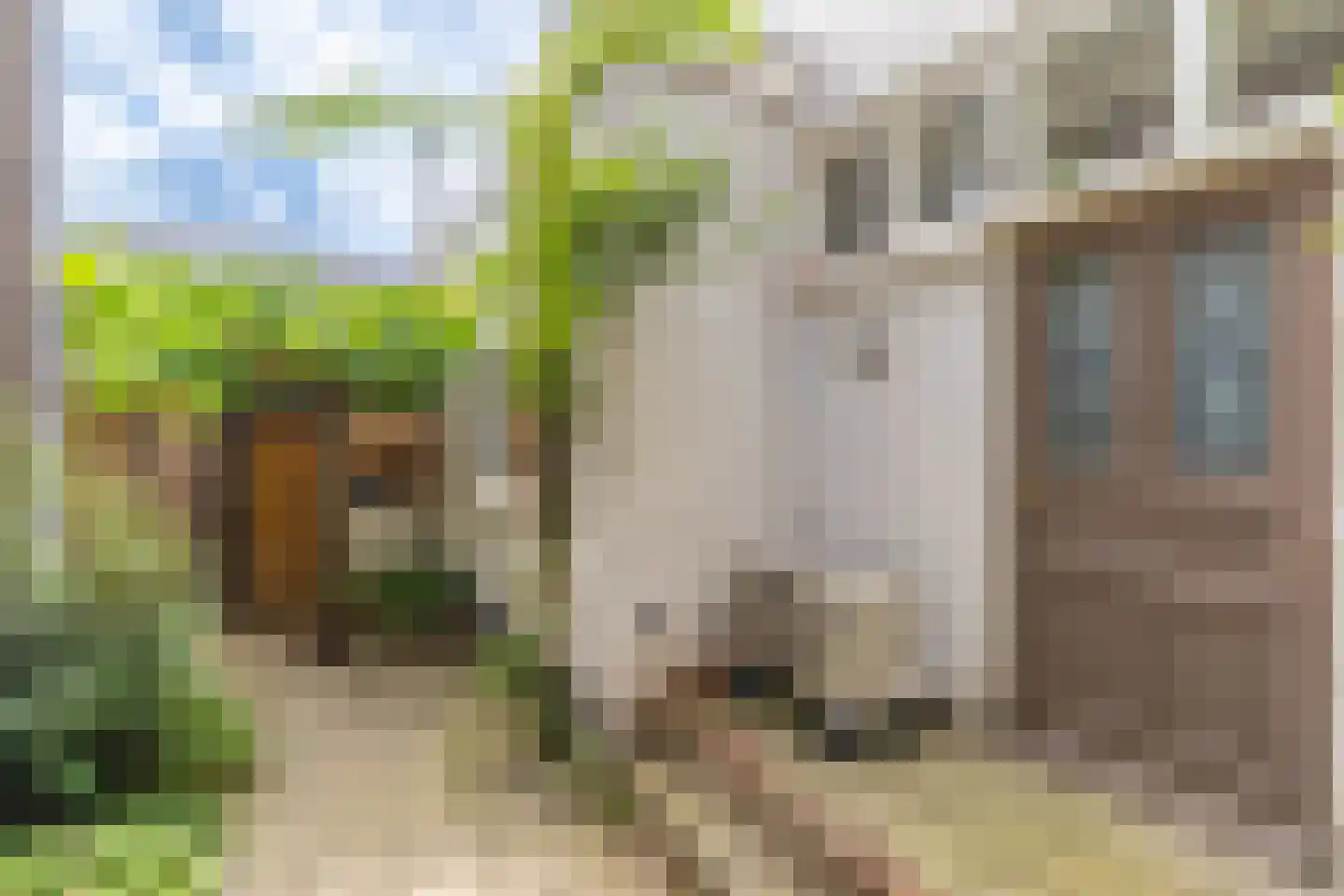 Steenstraat 46 a Boxmeer thumbnail 5
