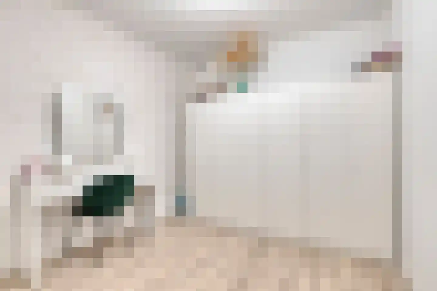 Steenstraat 46 Boxmeer thumbnail 11