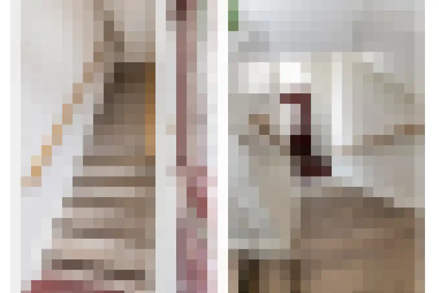 Steenstraat 46 Boxmeer thumbnail 4