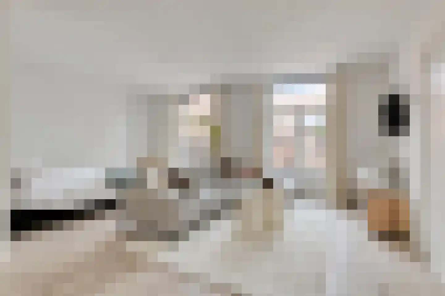 Steenstraat 46 Boxmeer thumbnail 7