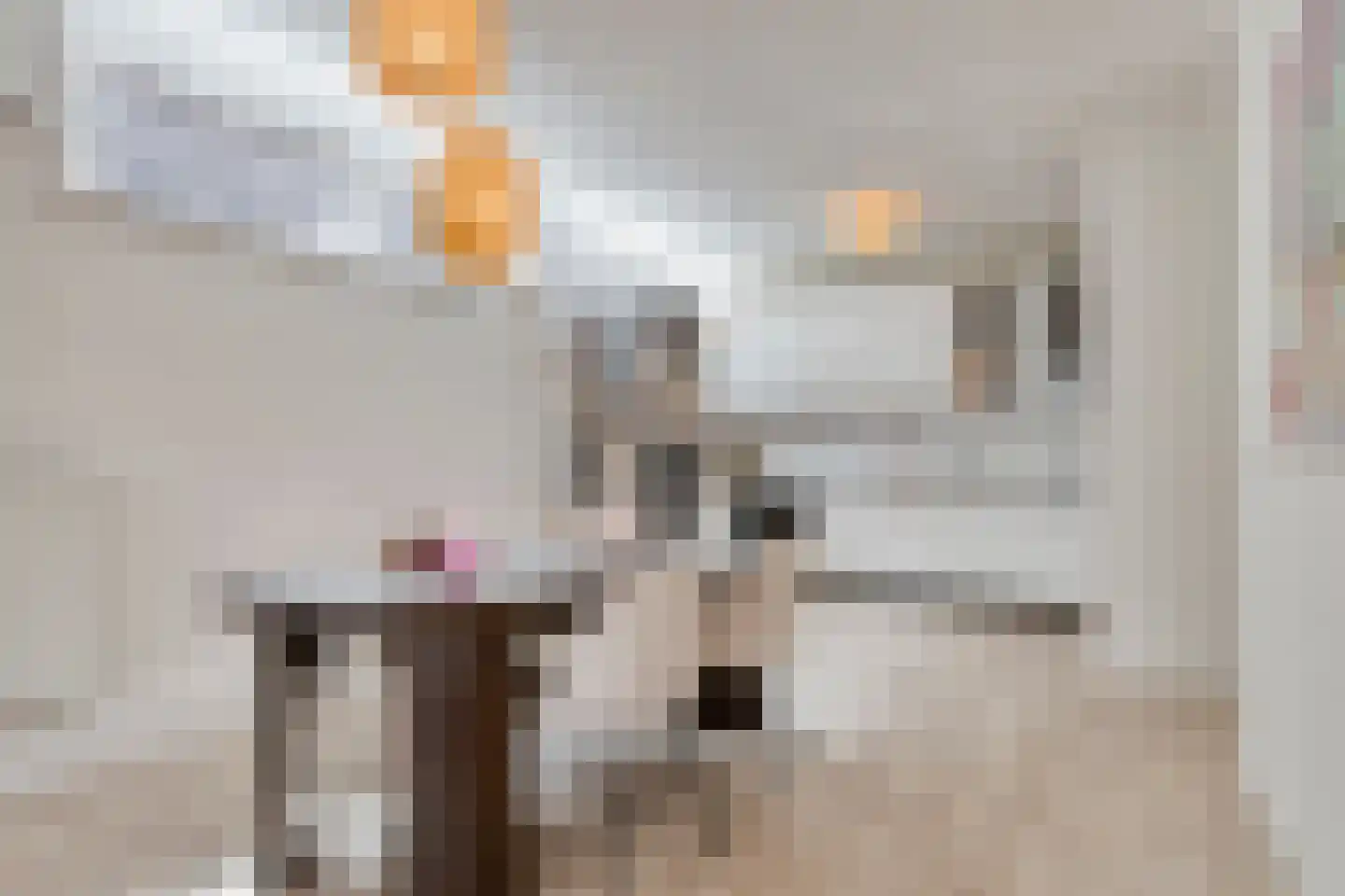Steenstraat 46 Boxmeer thumbnail 8