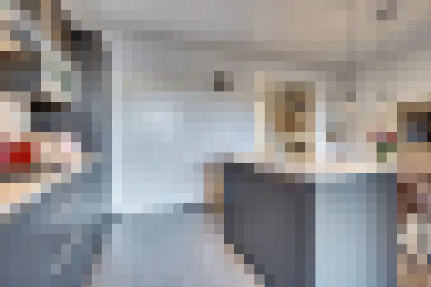 Steenstraat 52 Eersel thumbnail 18