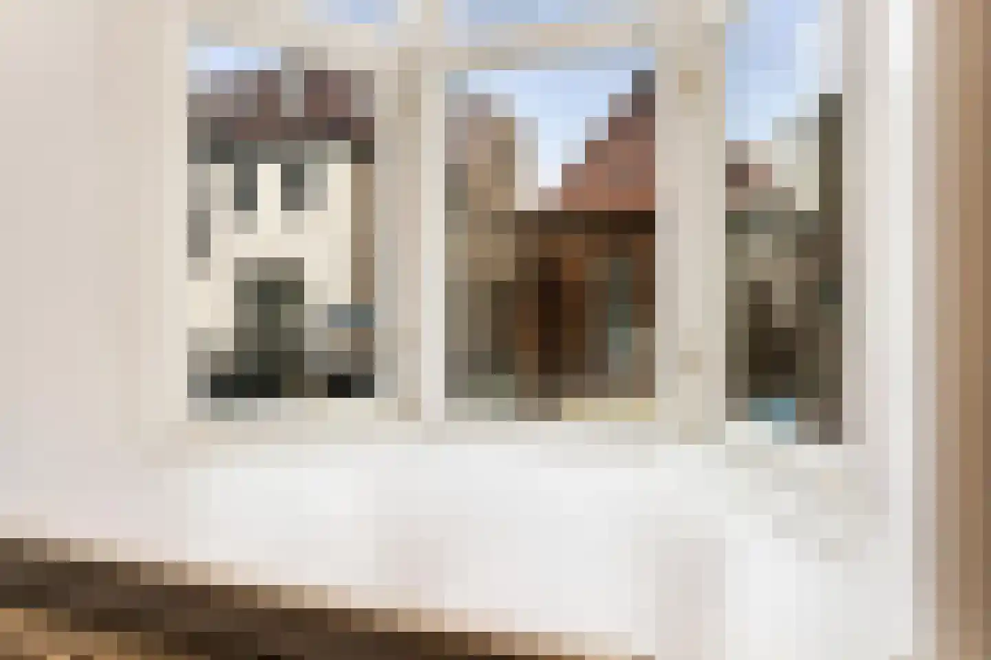 Steenstraat 54 Boxmeer thumbnail 32