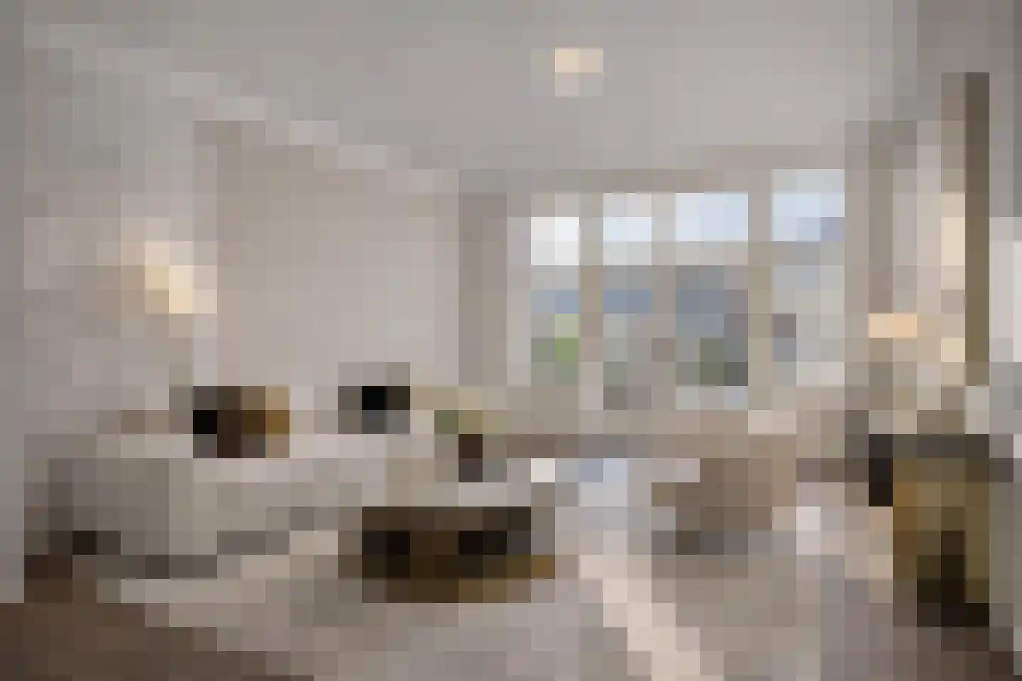 Steenstraat 54 Boxmeer thumbnail 7