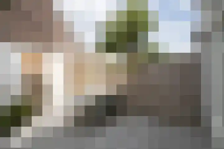 Steenstraat 6 Utrecht thumbnail 20