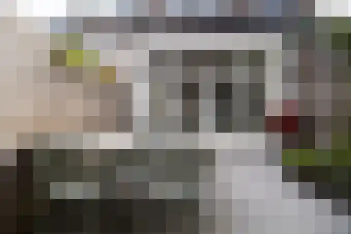 Steenstraat 6 Utrecht thumbnail 21