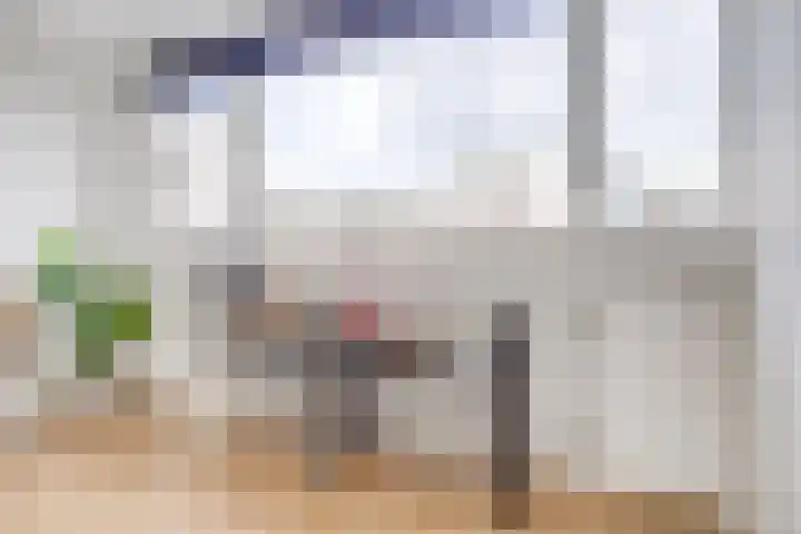 Steenstraat 6 Utrecht thumbnail 36