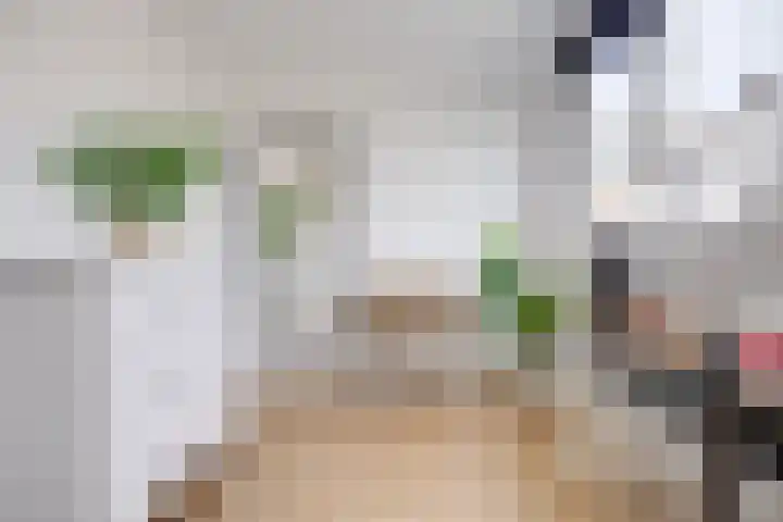 Steenstraat 6 Utrecht thumbnail 37