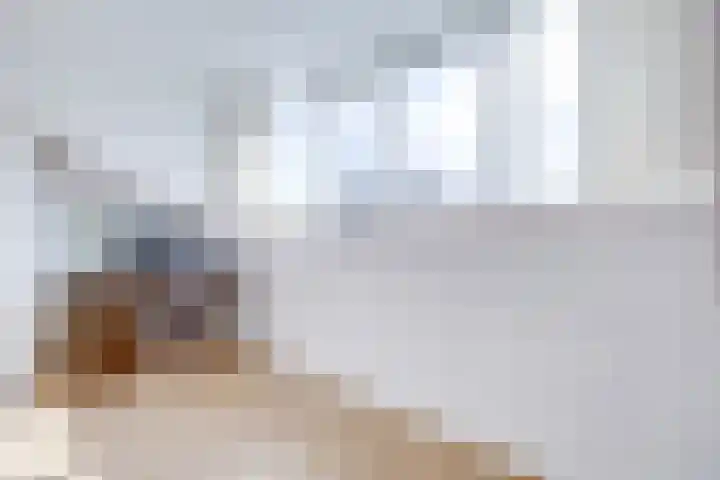 Steenstraat 6 Utrecht thumbnail 42