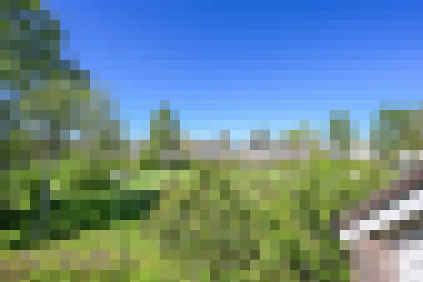 Steenstraat 62 Eersel thumbnail 21
