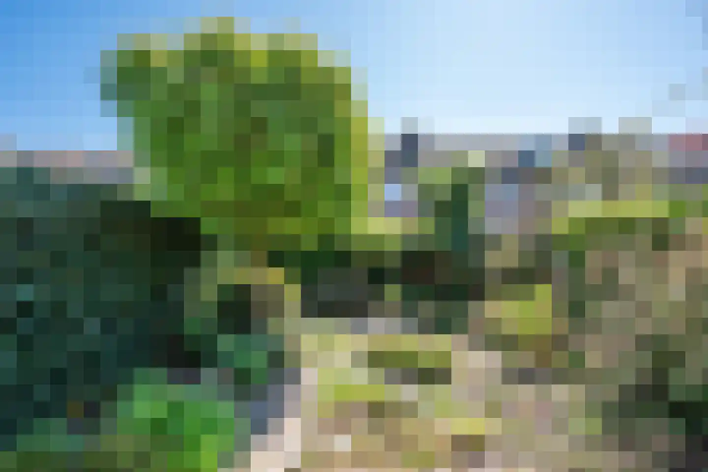 Steenstraat 62 Eersel thumbnail 37
