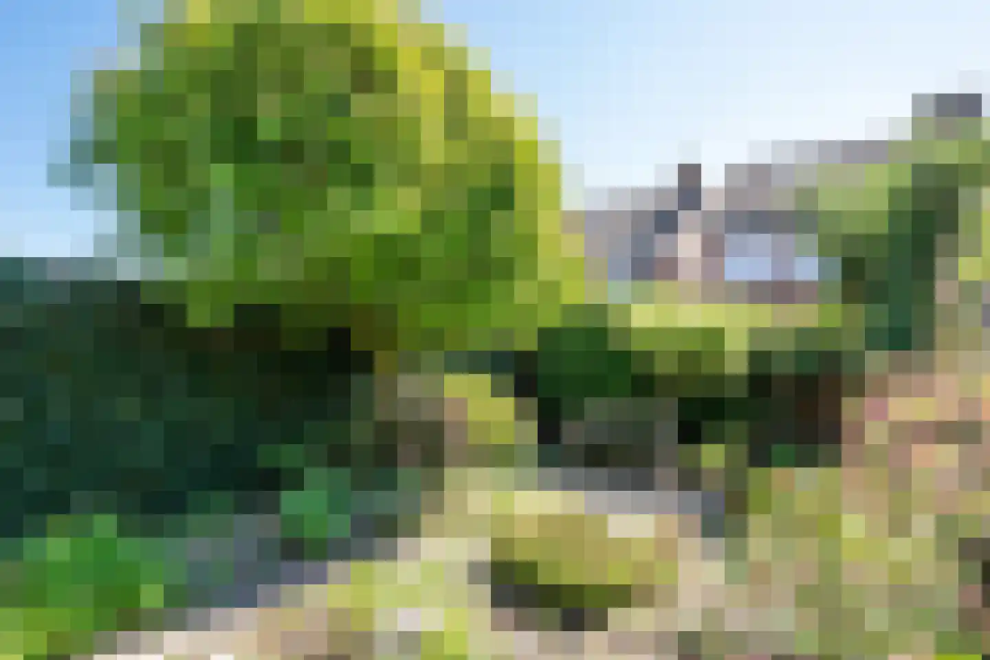 Steenstraat 62 Eersel thumbnail 37