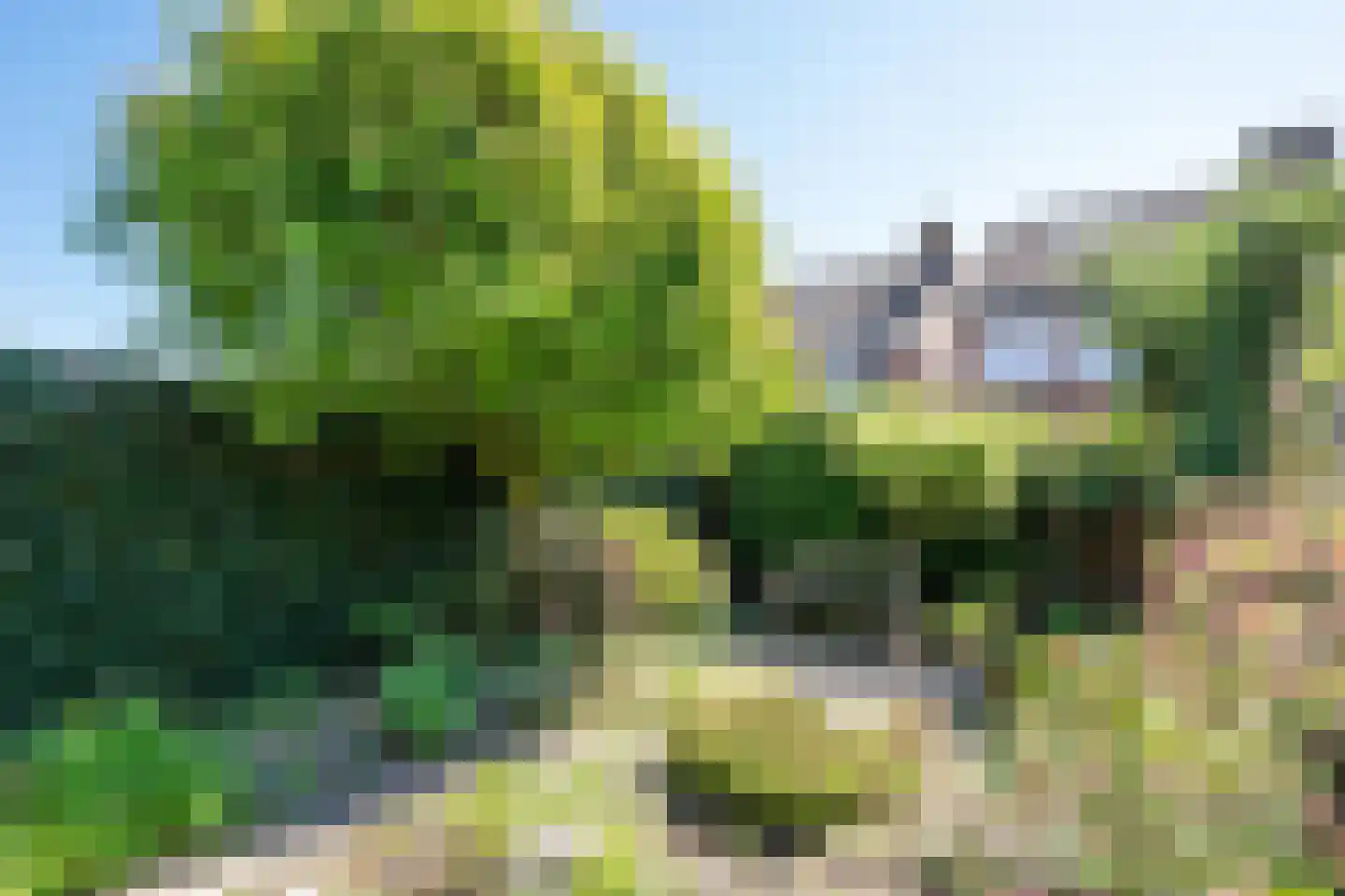 Steenstraat 62 Eersel thumbnail 38