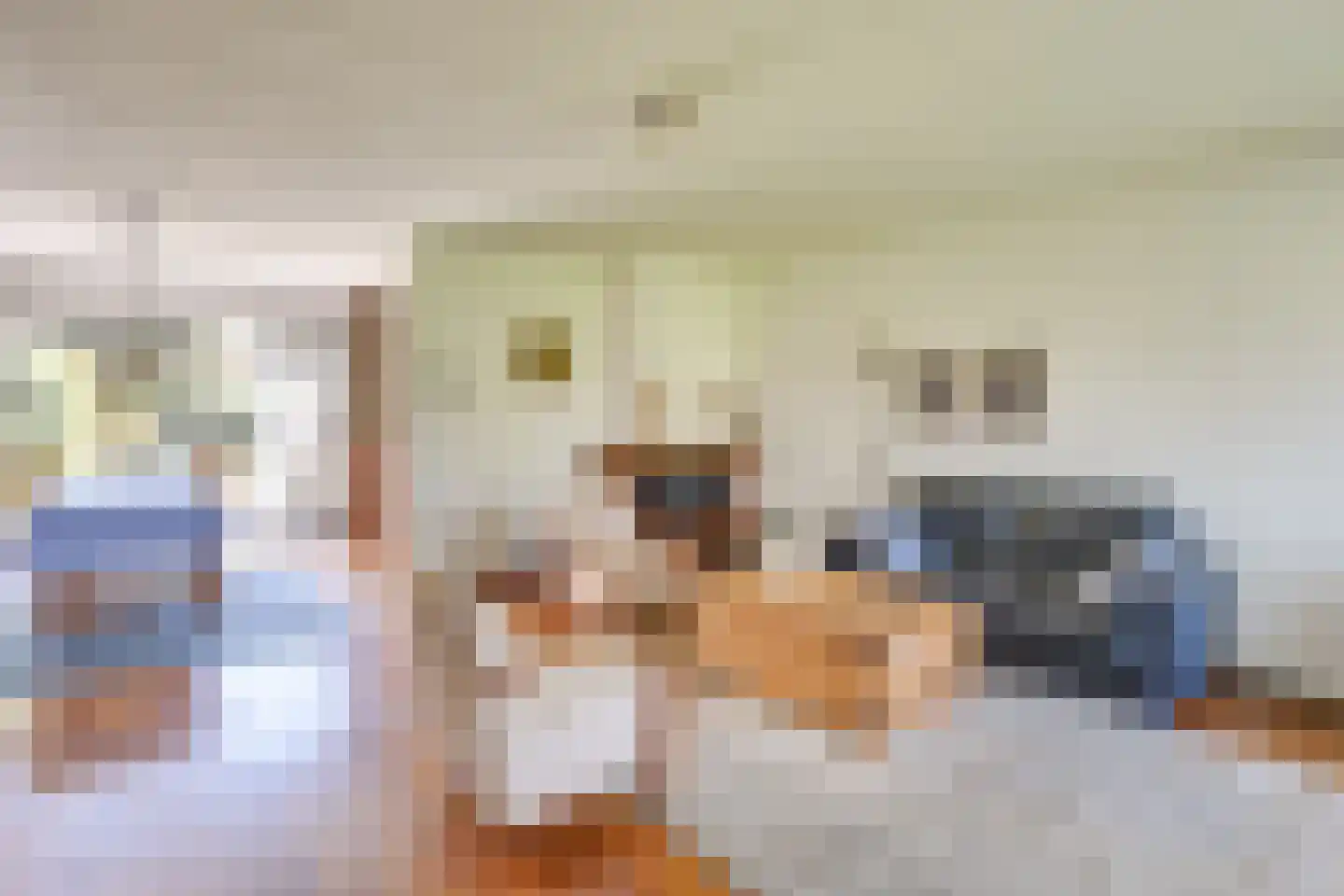 Steenstraat 62 Eersel thumbnail 4