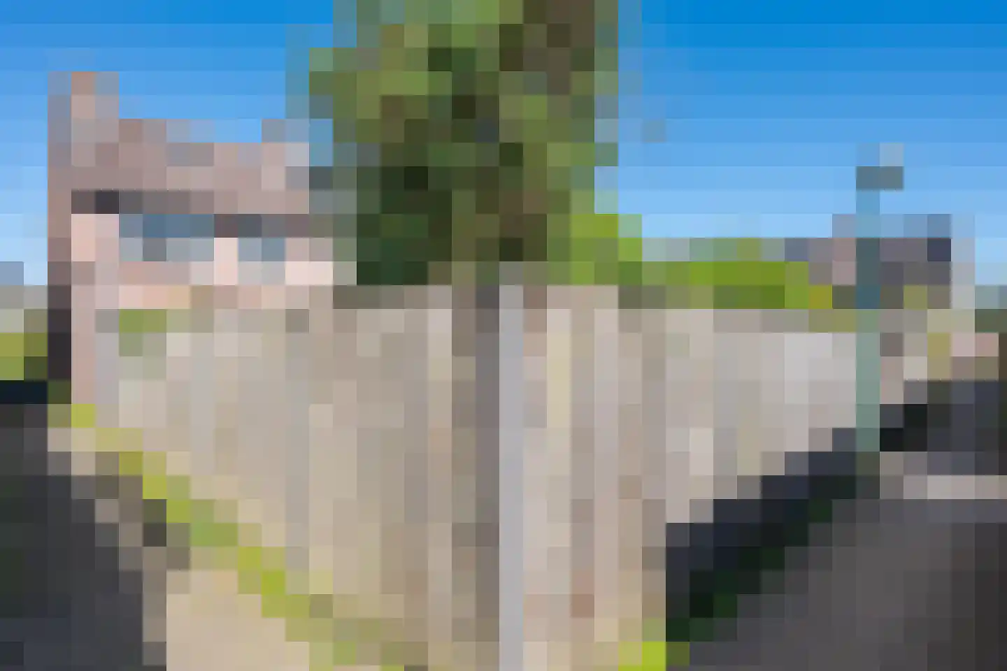 Steenstraat 62 Eersel thumbnail 40