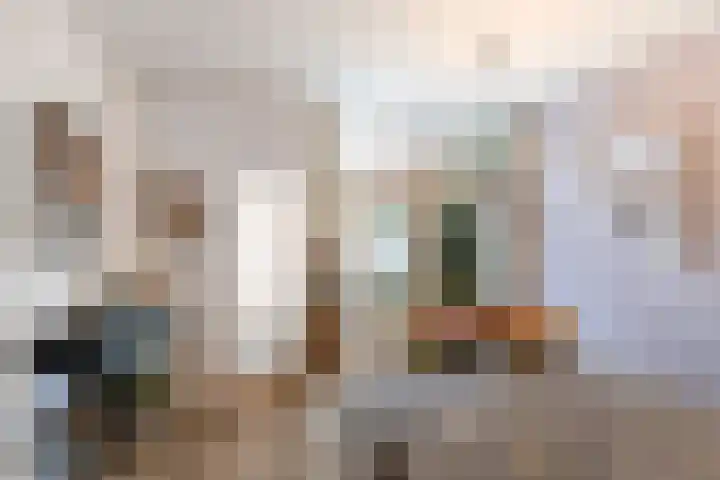 Steenstraat 7 Utrecht thumbnail 13