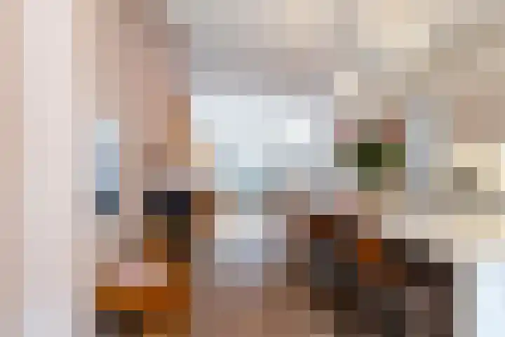 Steenstraat 7 Utrecht thumbnail 16