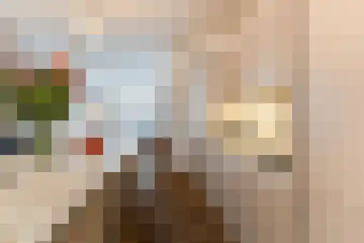 Steenstraat 7 Utrecht thumbnail 18