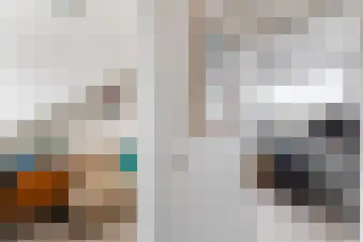 Steenstraat 7 Utrecht thumbnail 31