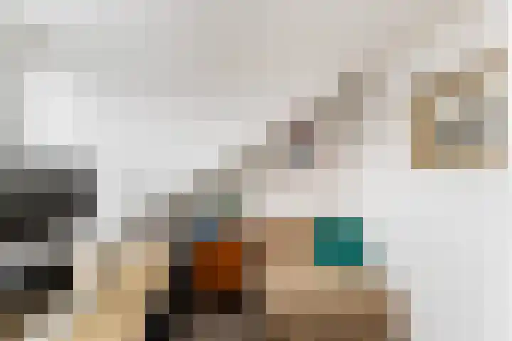 Steenstraat 7 Utrecht thumbnail 32