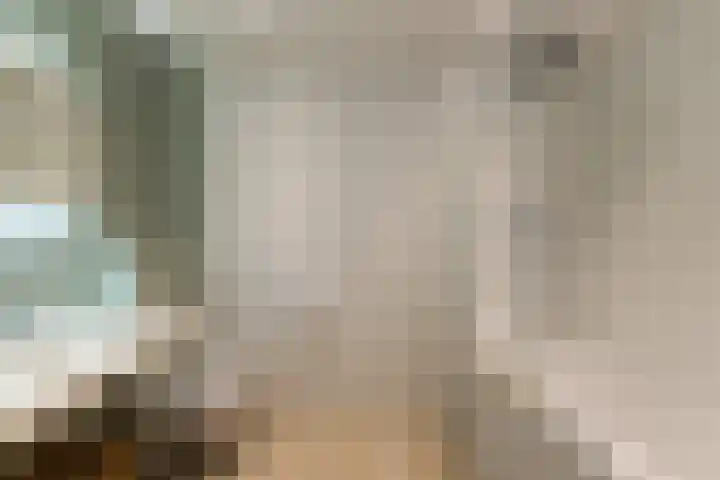 Steenstraat 7 Utrecht thumbnail 39