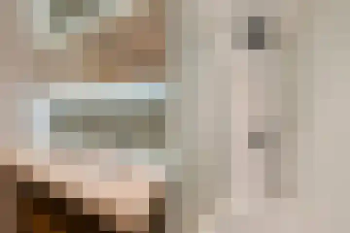 Steenstraat 7 Utrecht thumbnail 42