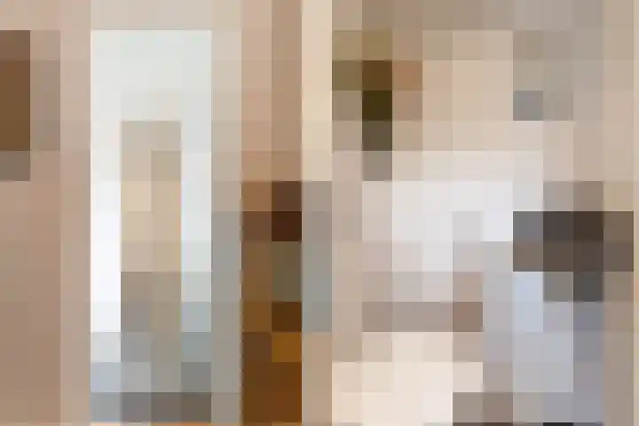 Steenstraat 7 Utrecht thumbnail 7