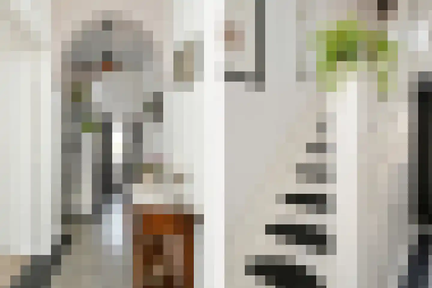 Steenstraat 72 Panningen thumbnail 19