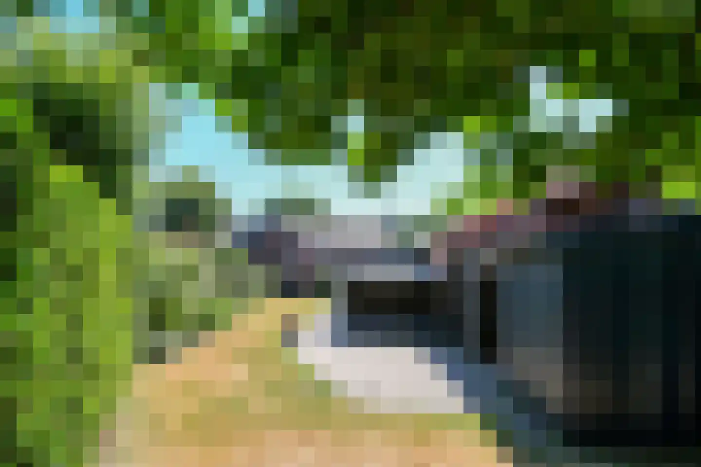 Steenstraat 72 Panningen thumbnail 32
