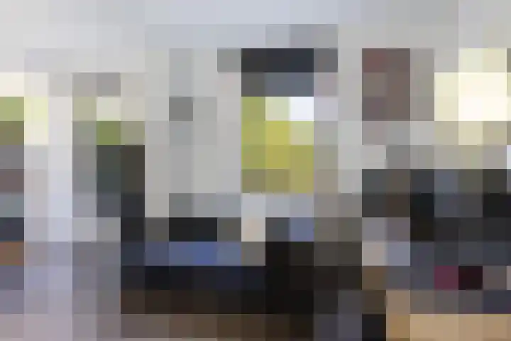 Steenstraat 77 Wijk bij Duurstede thumbnail 10