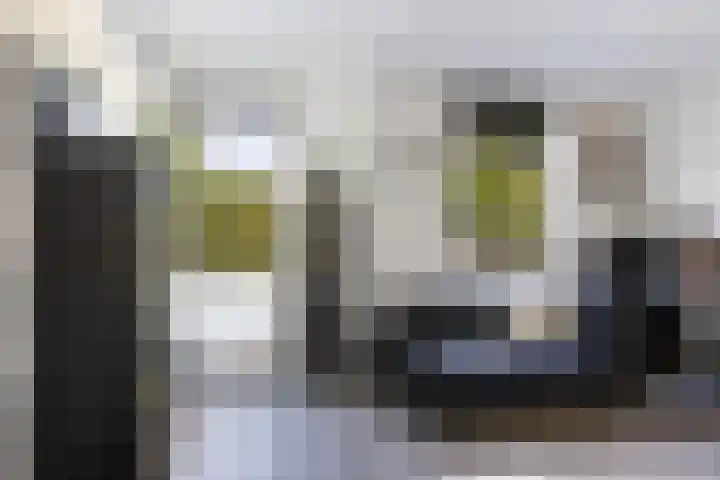 Steenstraat 77 Wijk bij Duurstede thumbnail 9
