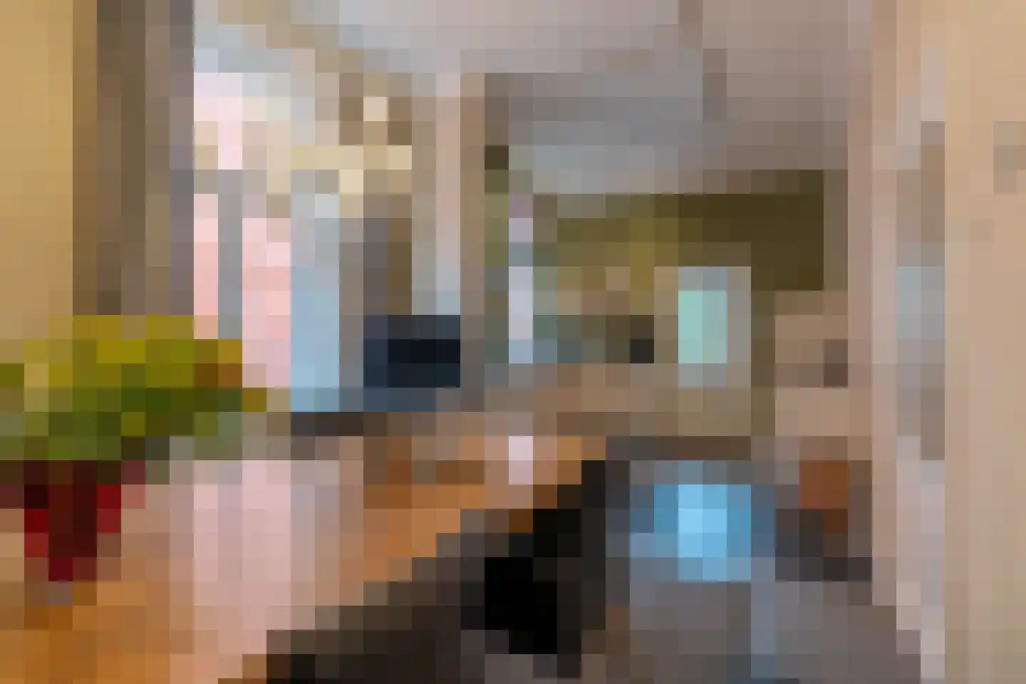 Steenstraat 78 a Boxmeer thumbnail 30