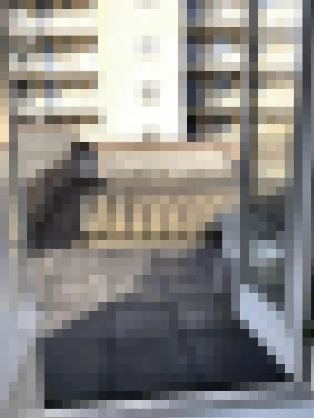Steenstraat 79 Arnhem thumbnail 6