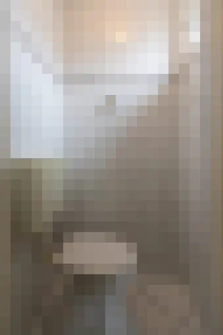 Steenstraat 8 Didam thumbnail 11