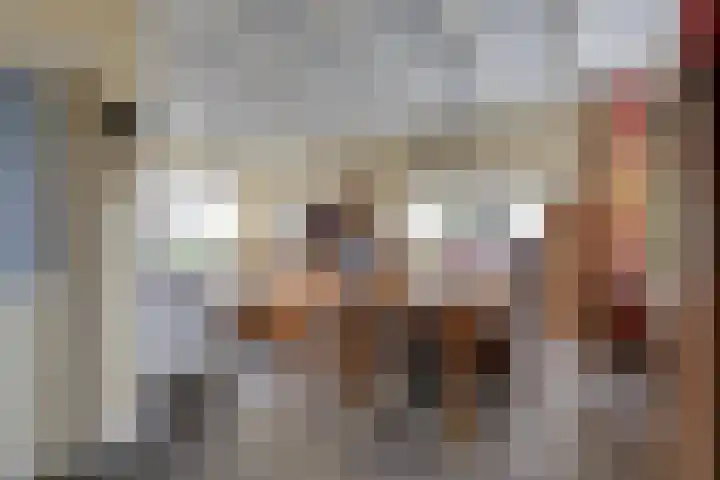 Steenstraat 8 Didam thumbnail 12