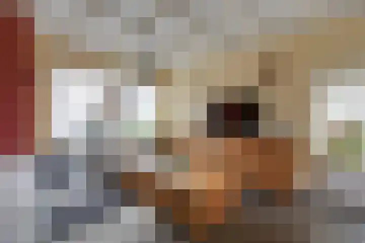Steenstraat 8 Didam thumbnail 14