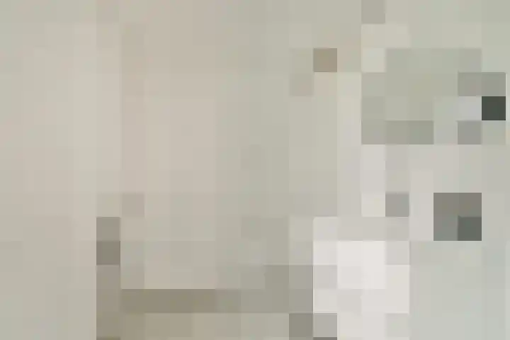 Steenstraat 8 Didam thumbnail 15