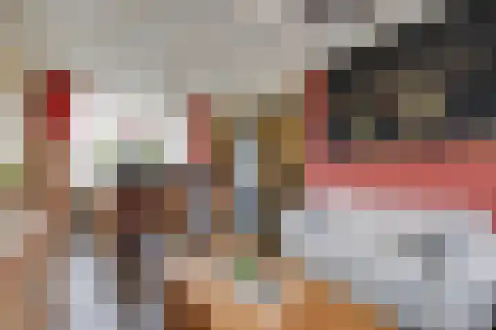 Steenstraat 8 Didam thumbnail 16